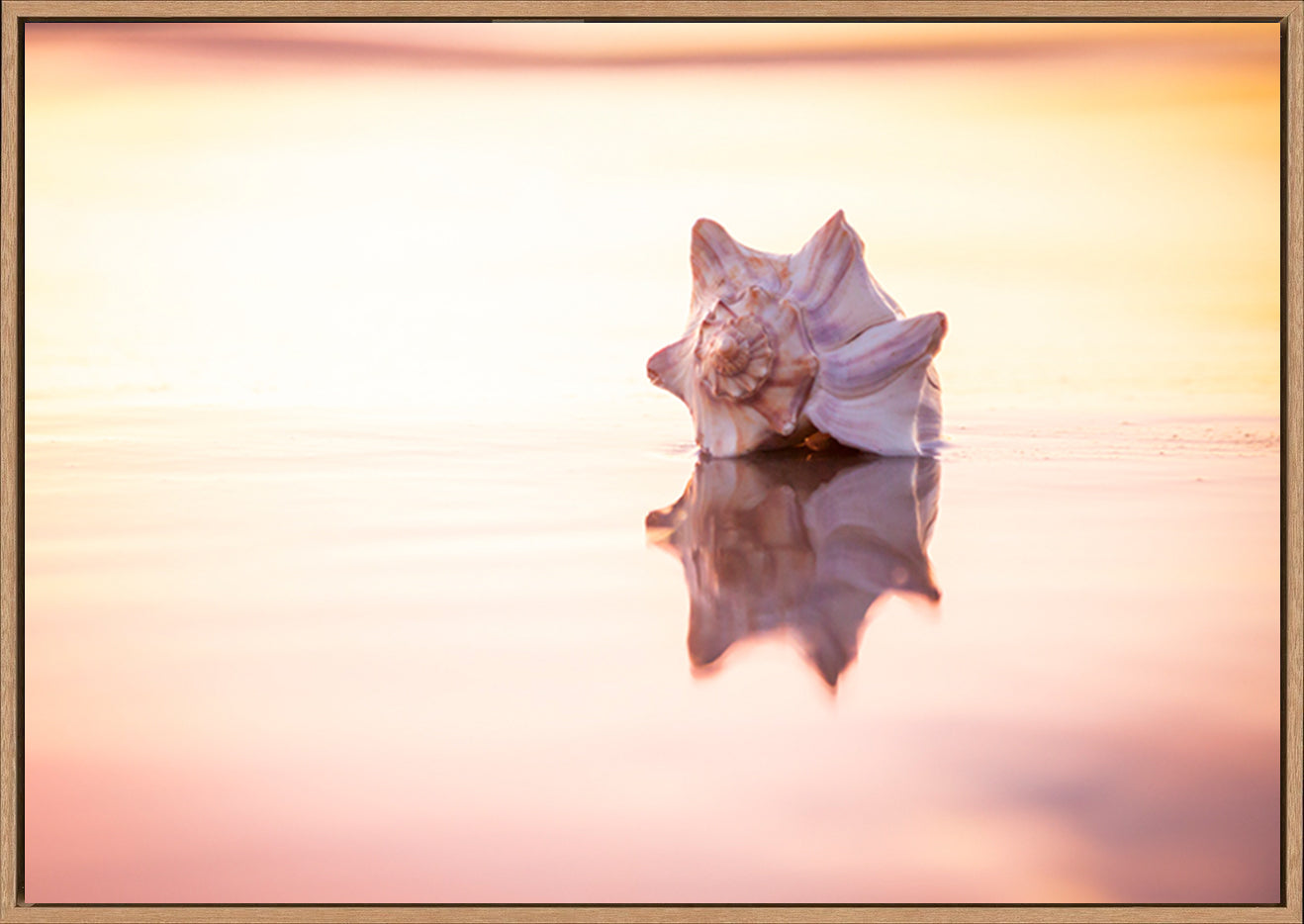 canvas_frame
