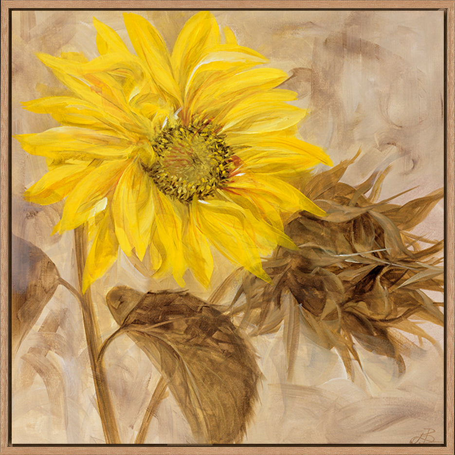 canvas_frame