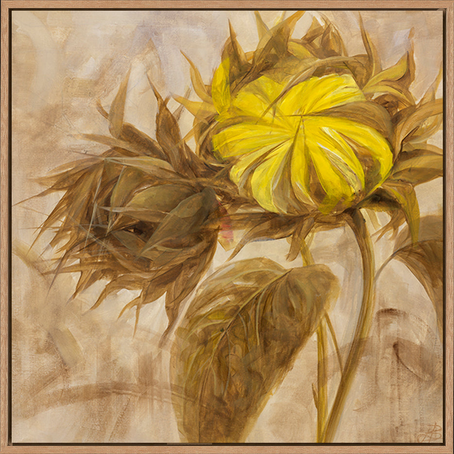 canvas_frame