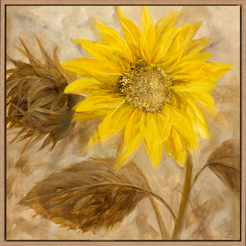 canvas_frame