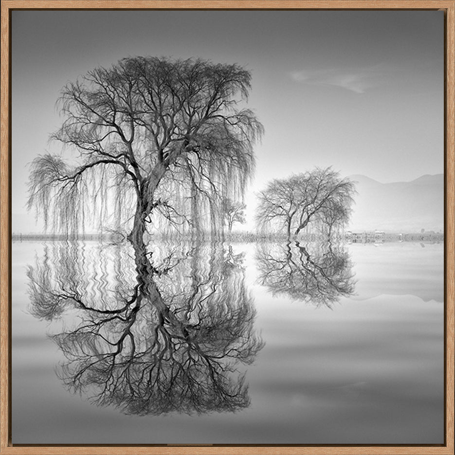 canvas_frame