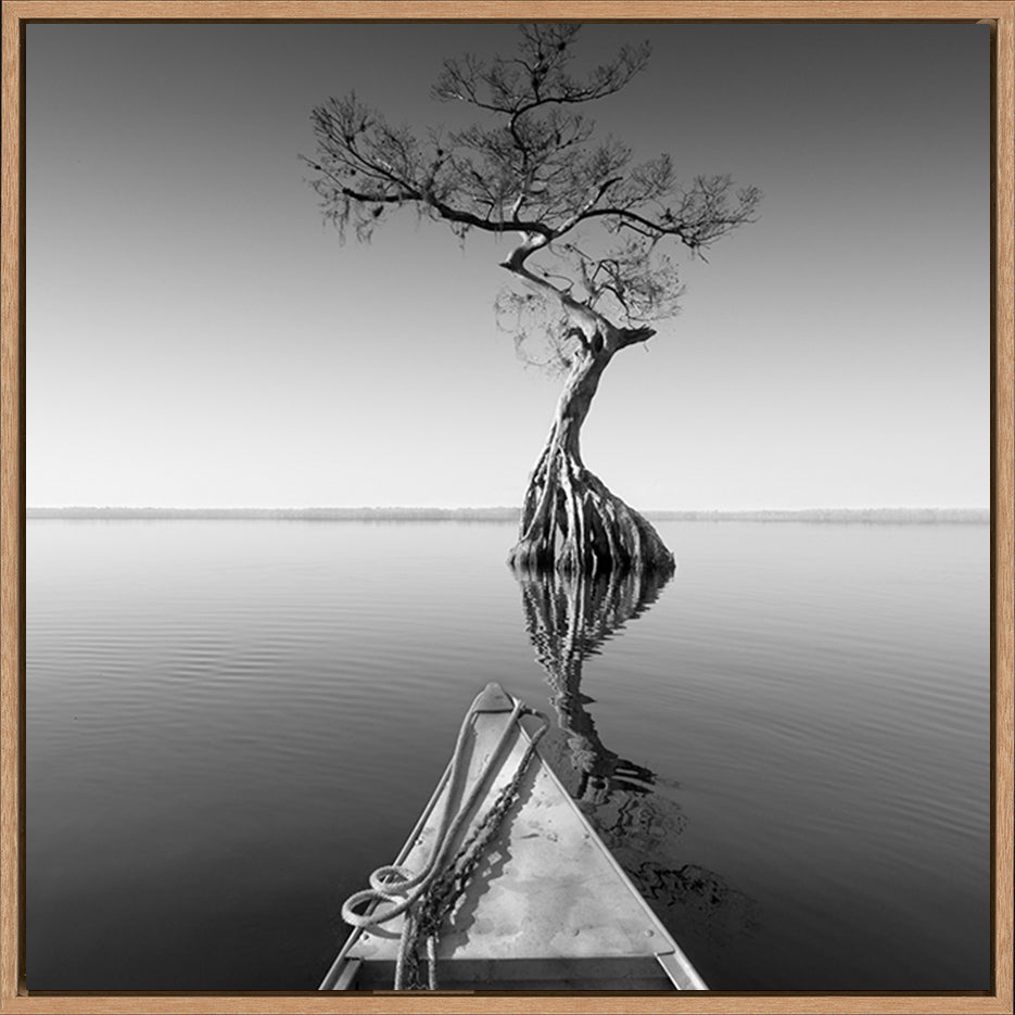 canvas_frame