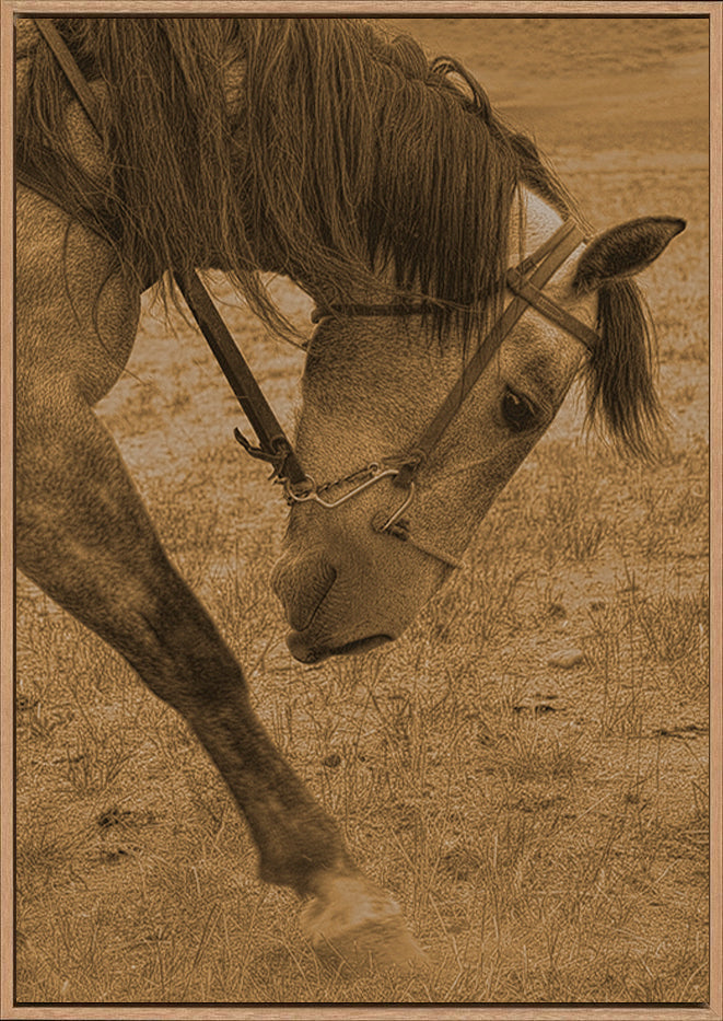canvas_frame