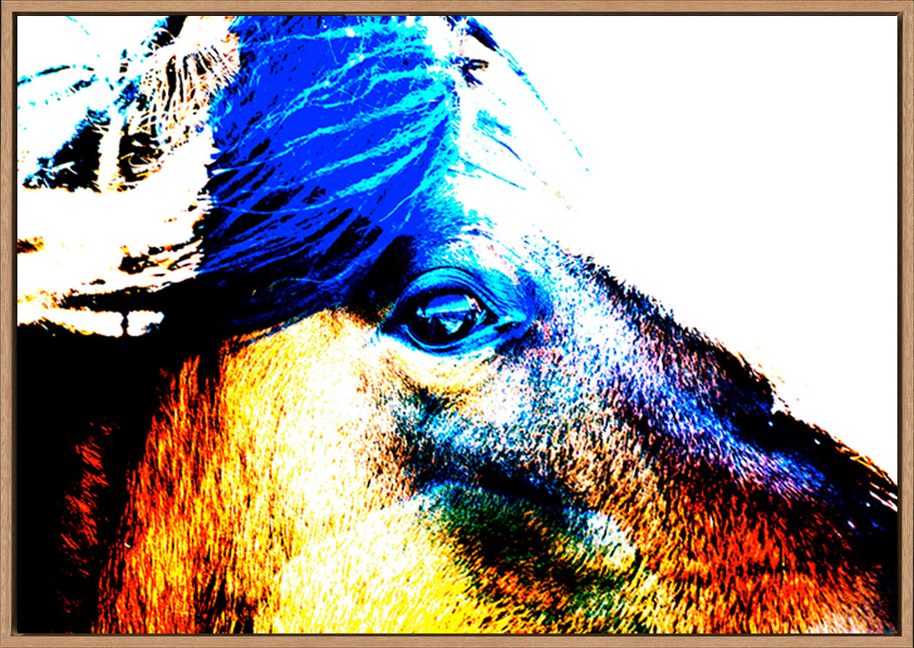 canvas_frame