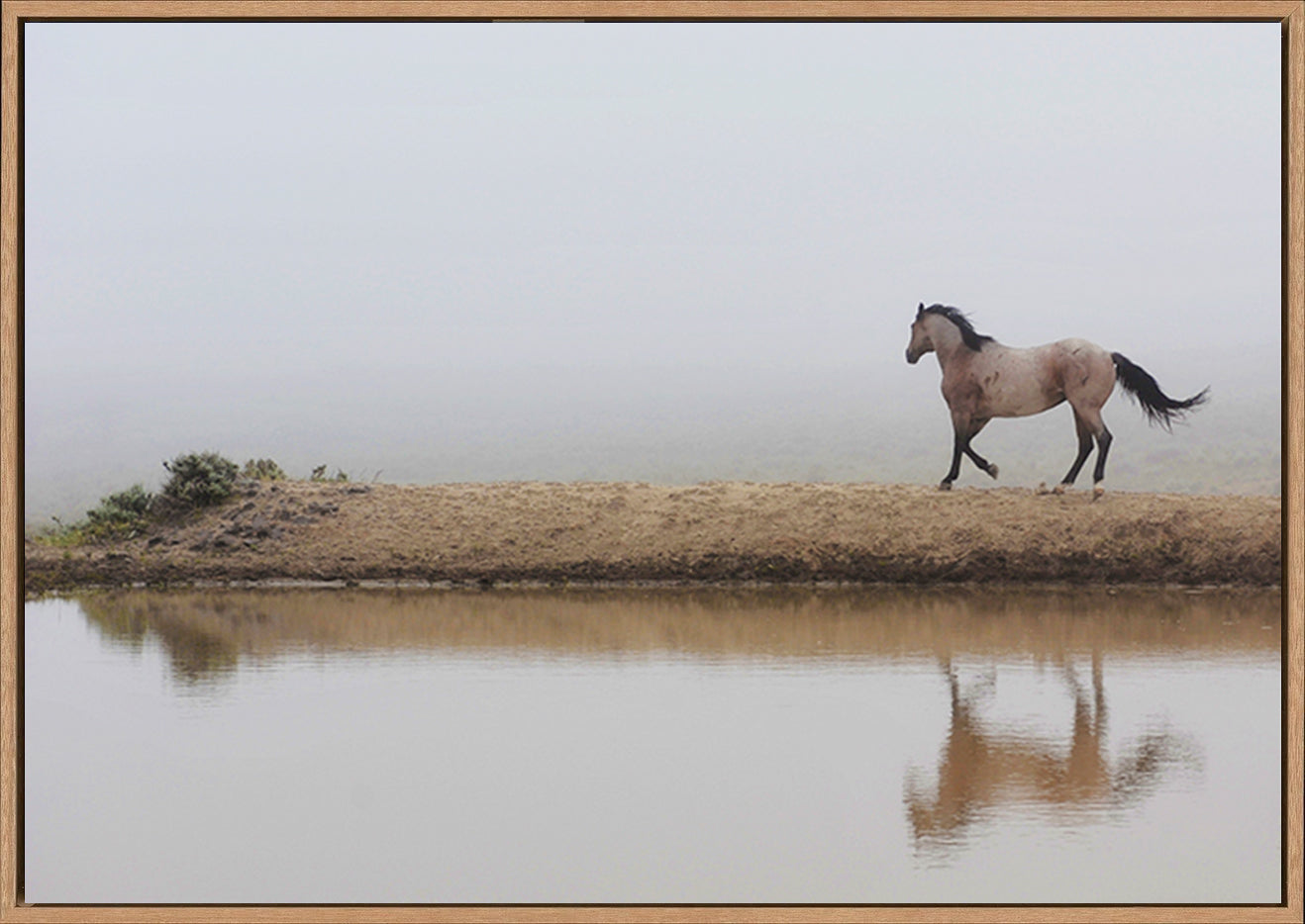 canvas_frame