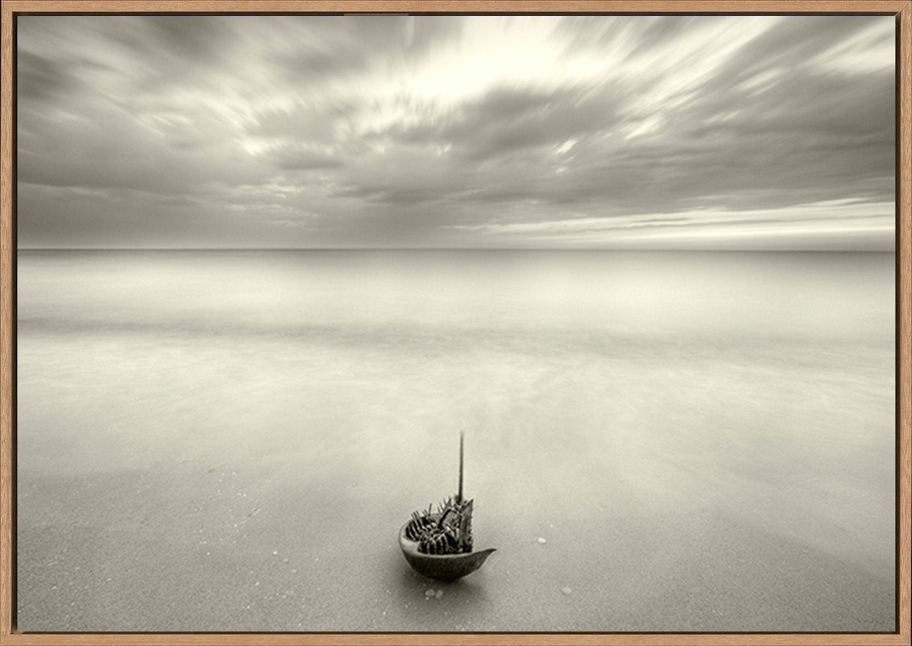 canvas_frame