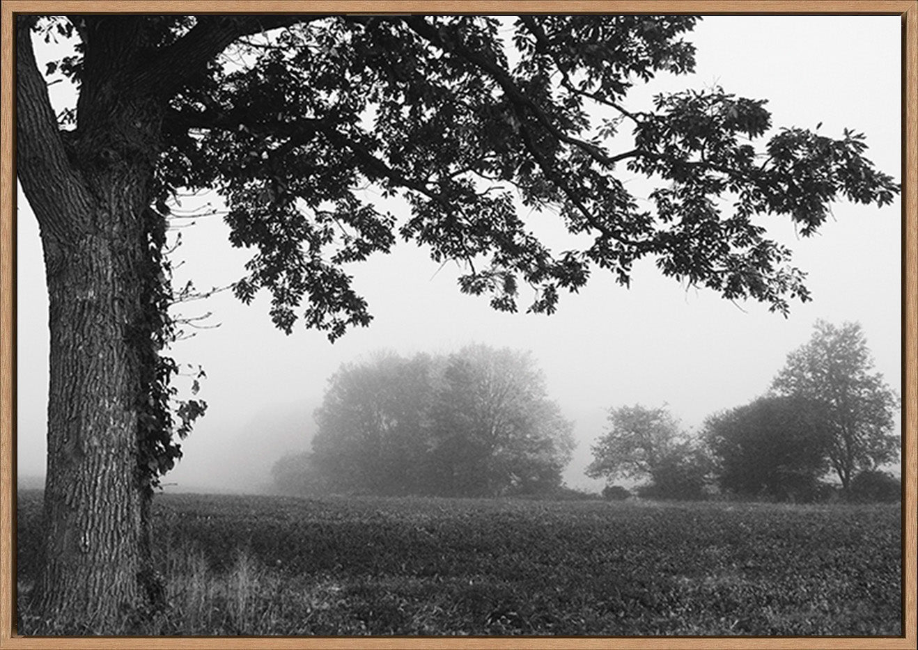 canvas_frame