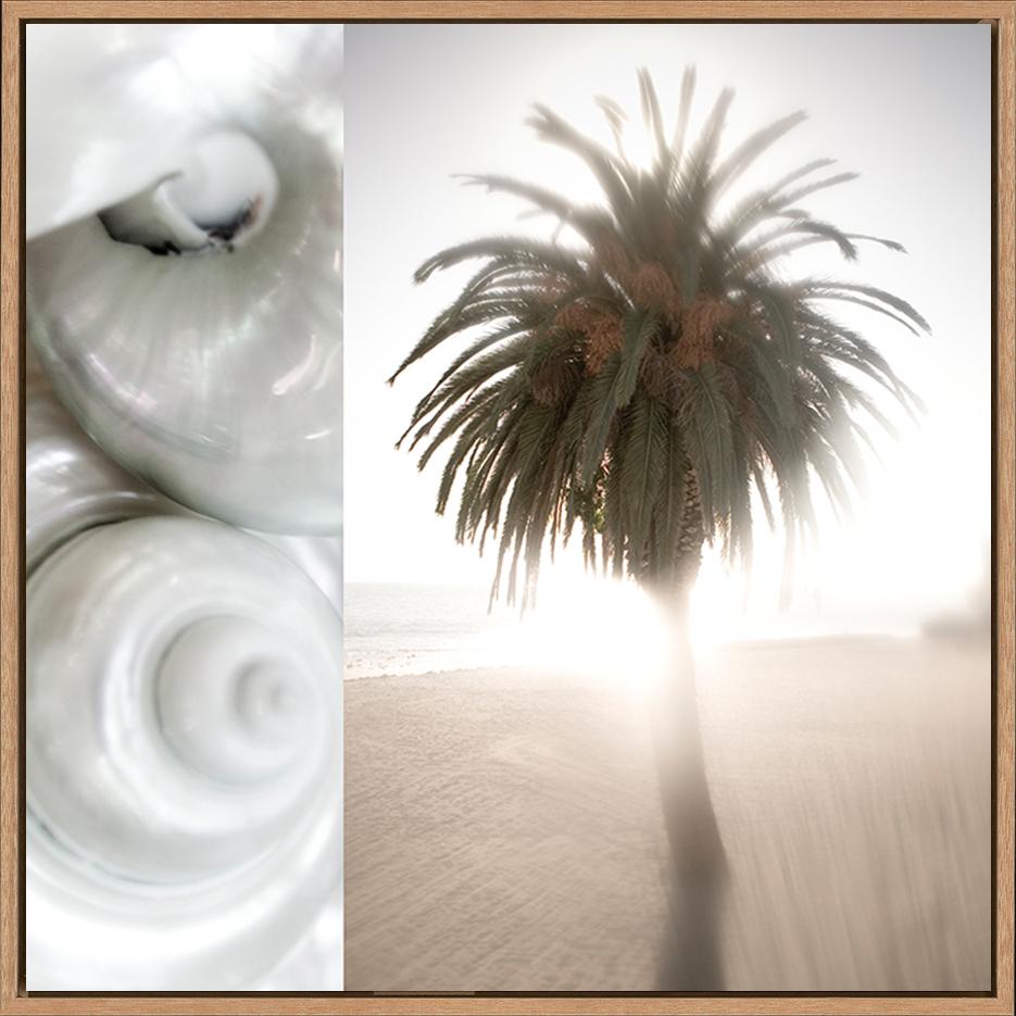 canvas_frame