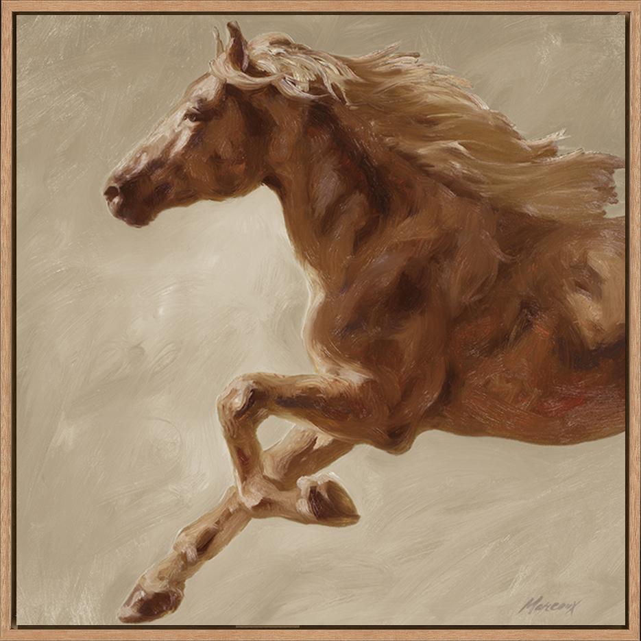 canvas_frame