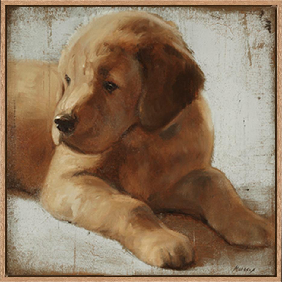 canvas_frame