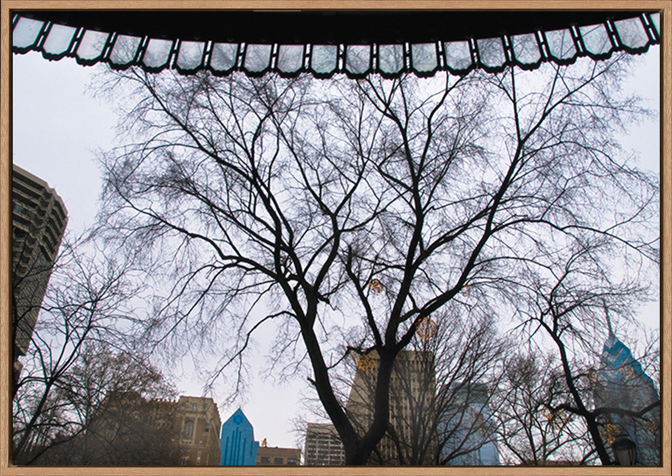 canvas_frame