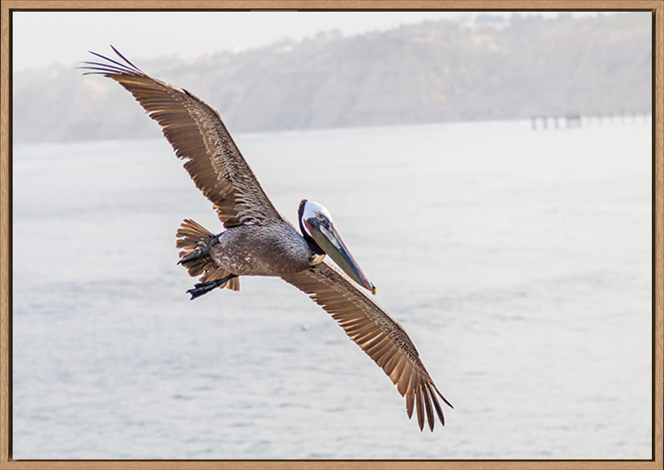 canvas_frame