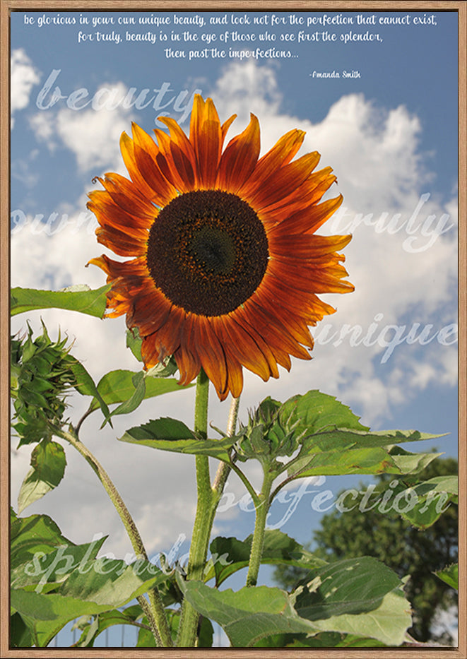 canvas_frame