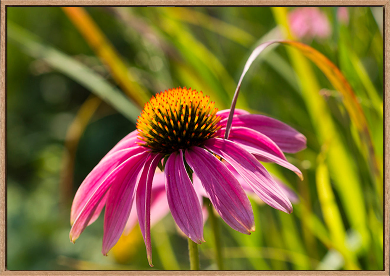 canvas_frame