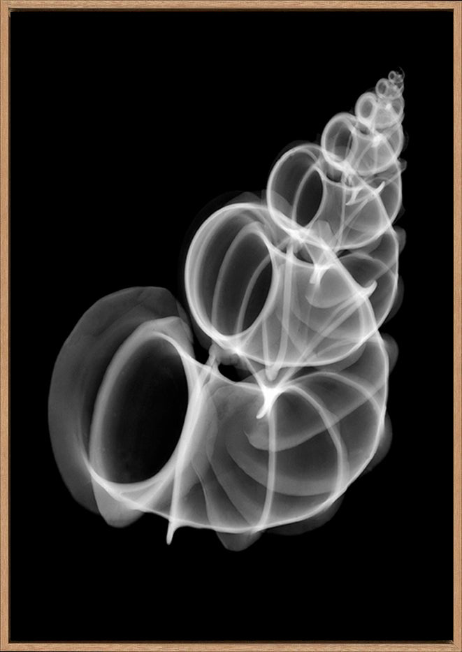 canvas_frame