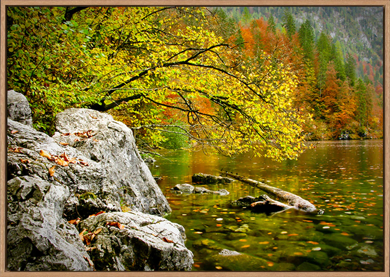 canvas_frame