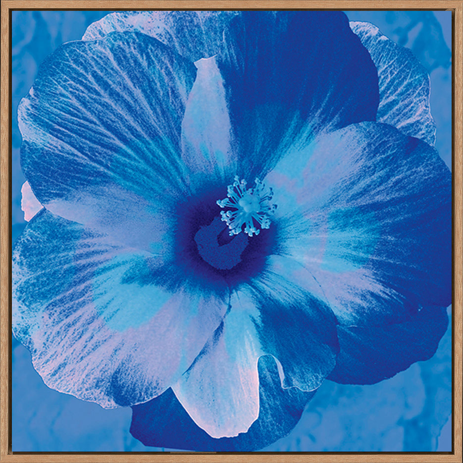 canvas_frame