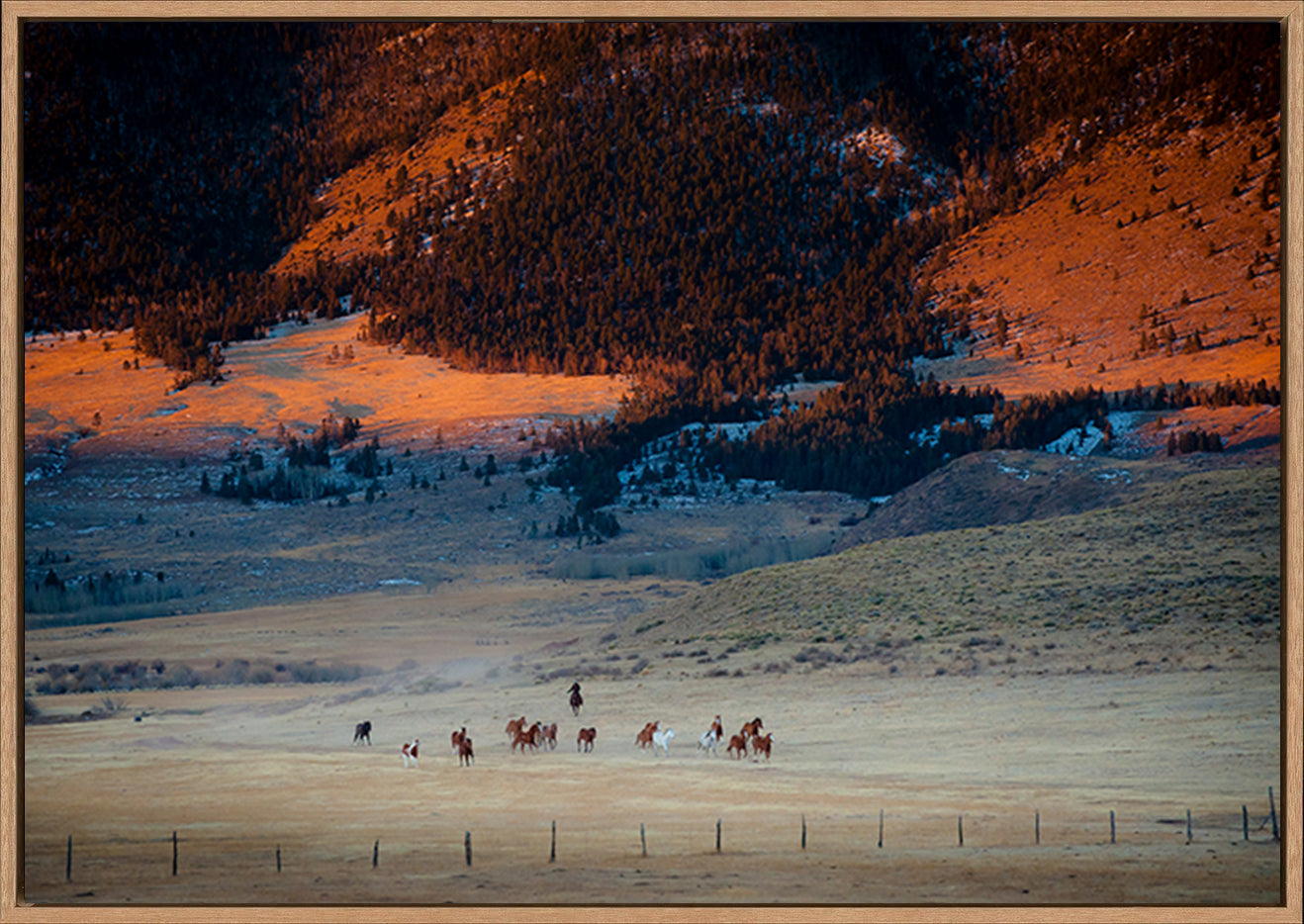 canvas_frame