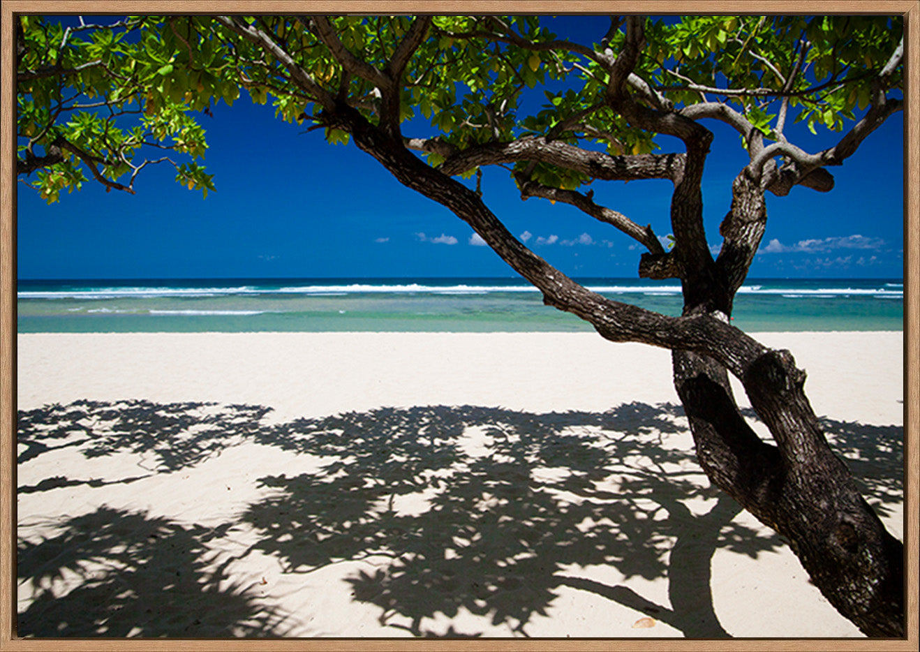 canvas_frame