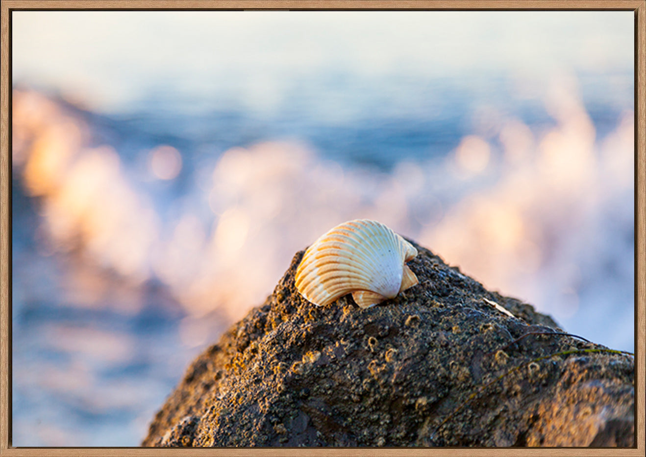 canvas_frame