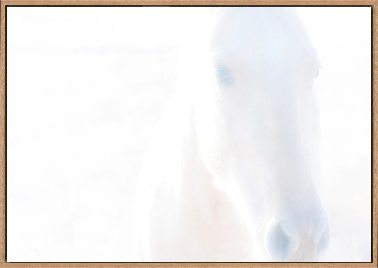canvas_frame