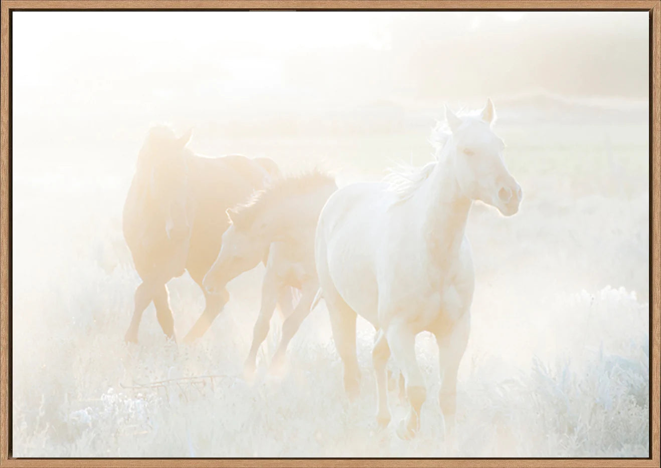 canvas_frame