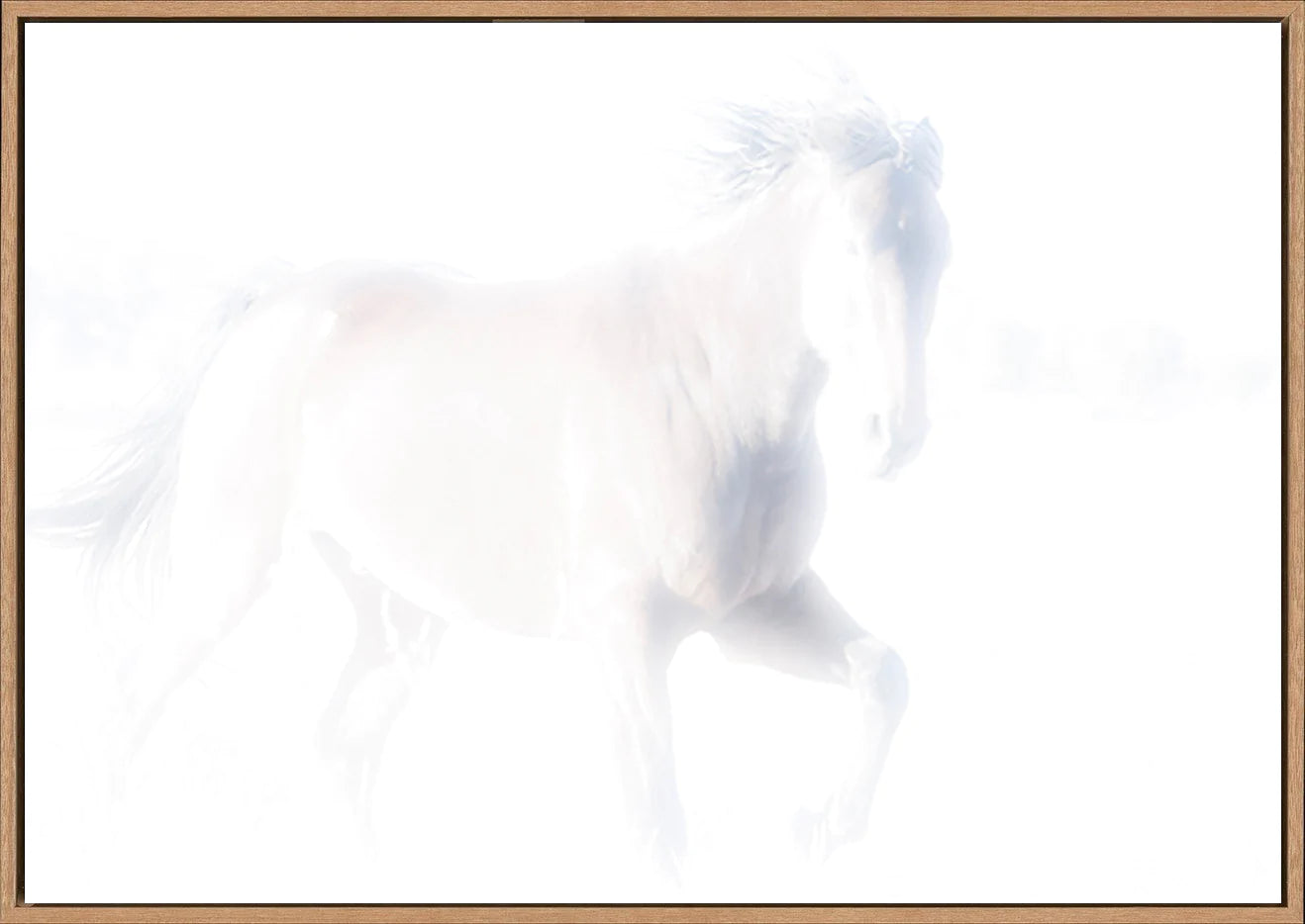 canvas_frame