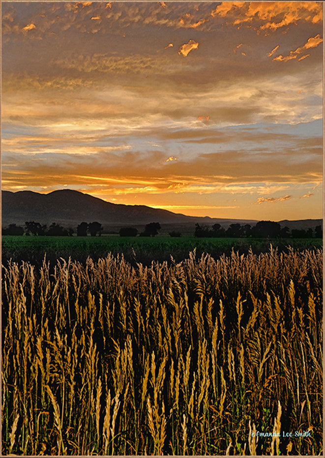 canvas_frame