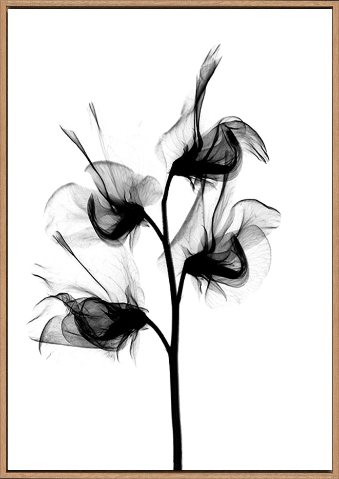canvas_frame