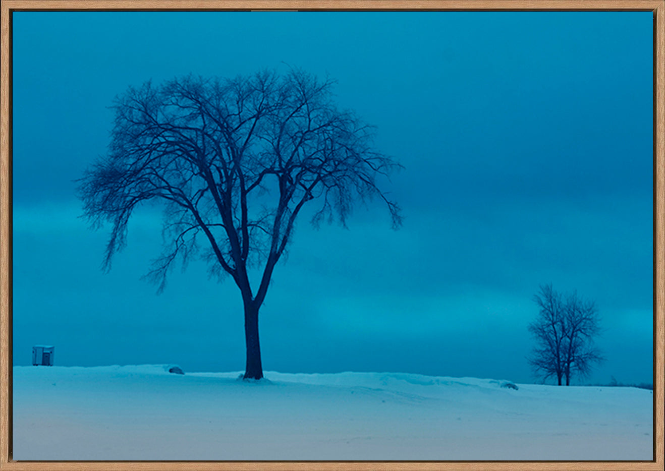 canvas_frame