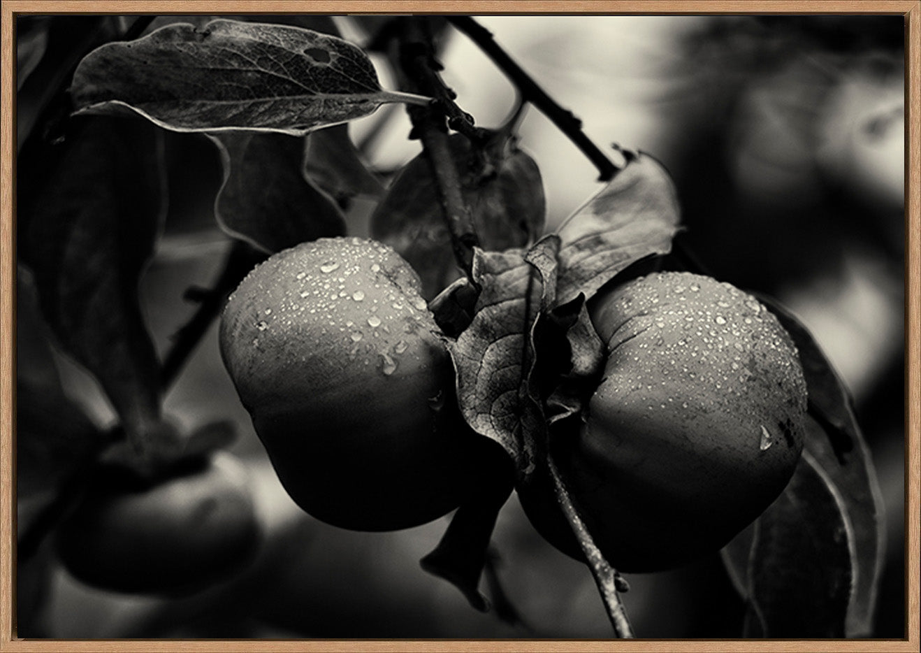 canvas_frame