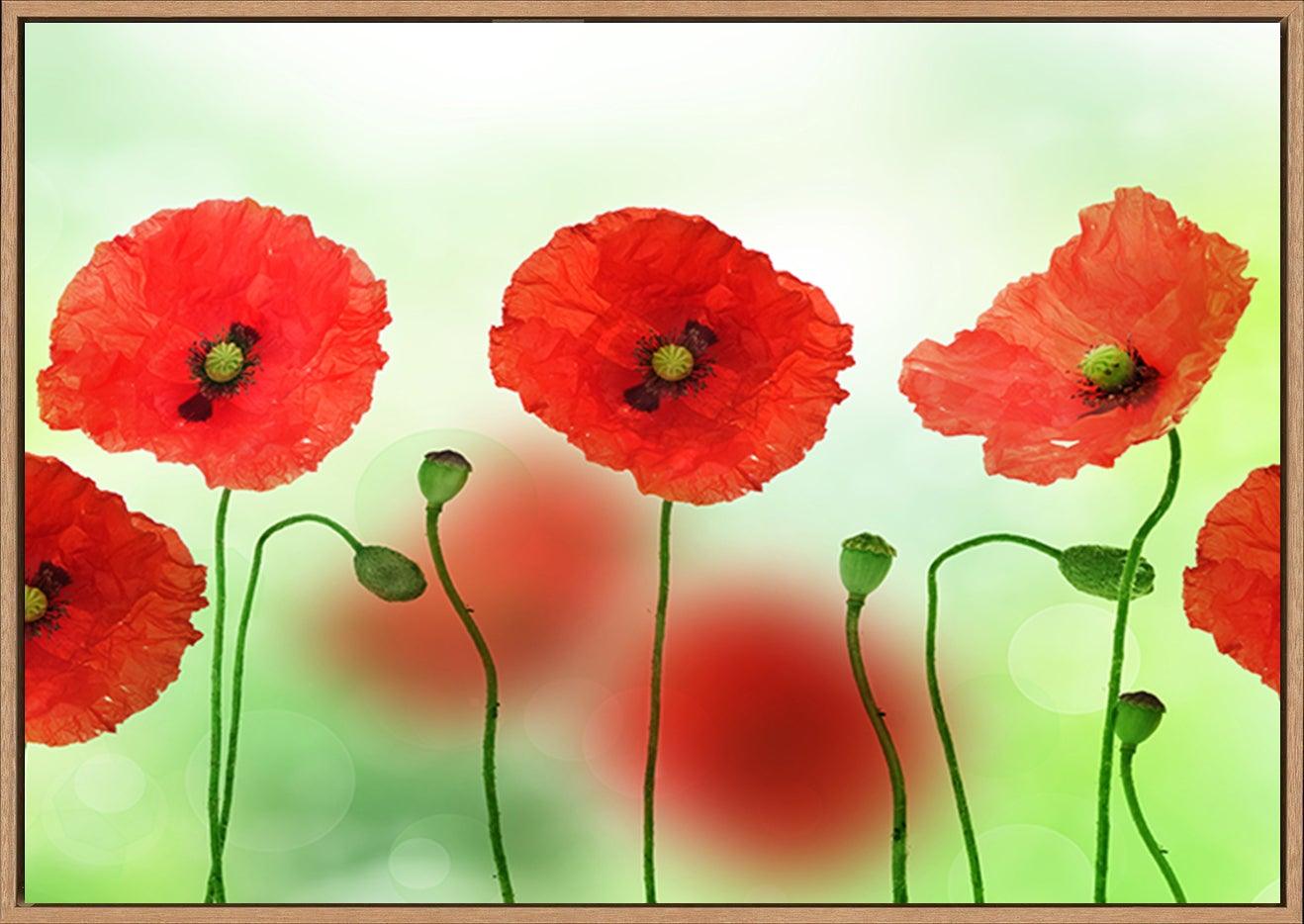 a2563057b Poppies copy - ArtFramed