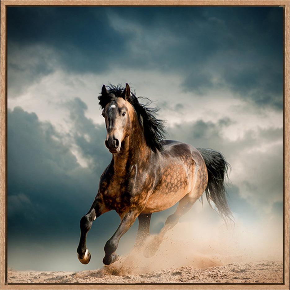a59883082s horse running - ArtFramed