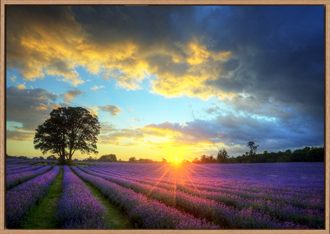 canvas_frame