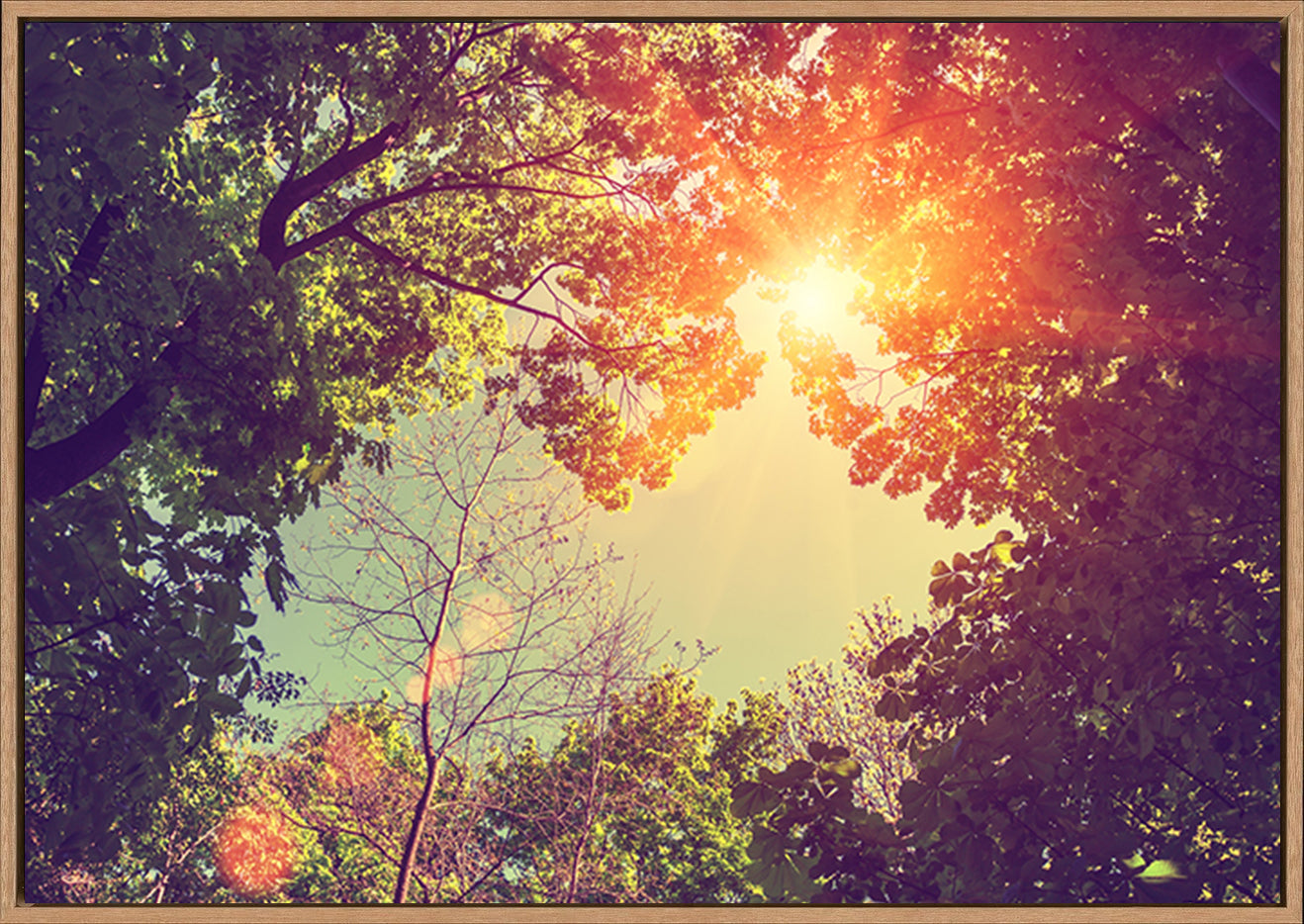 canvas_frame