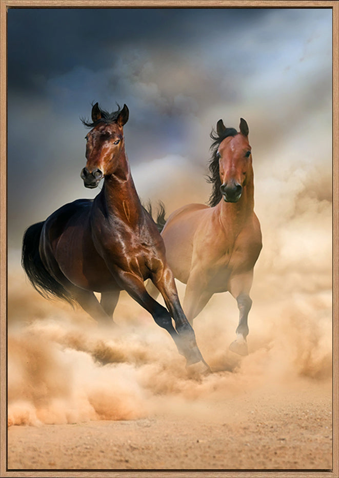 canvas_frame