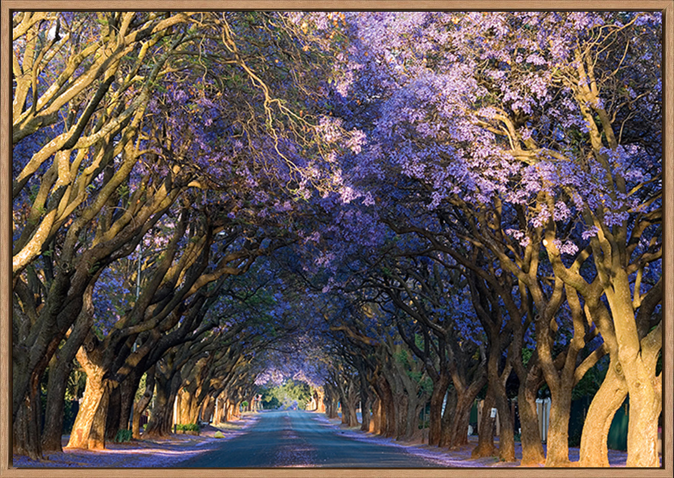 canvas_frame
