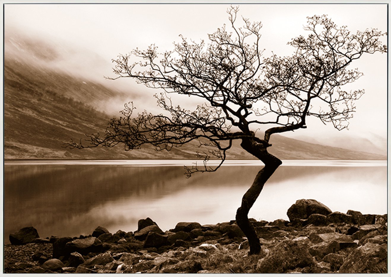 canvas_frame