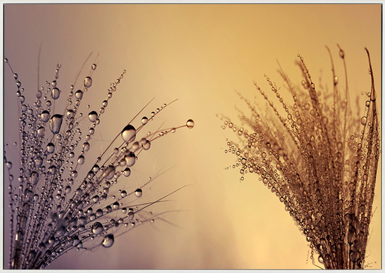 canvas_frame