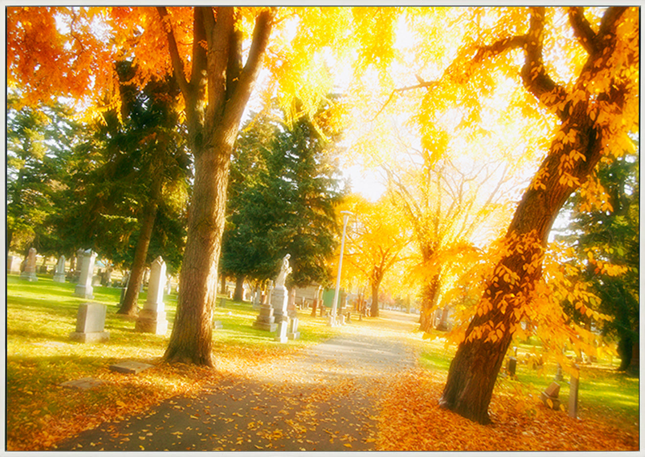 canvas_frame