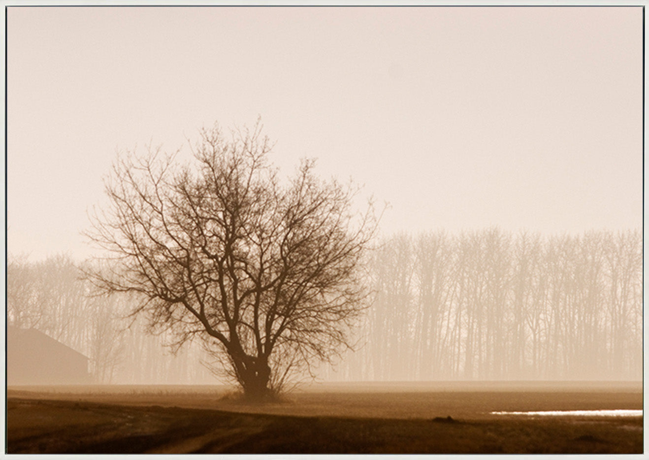 canvas_frame
