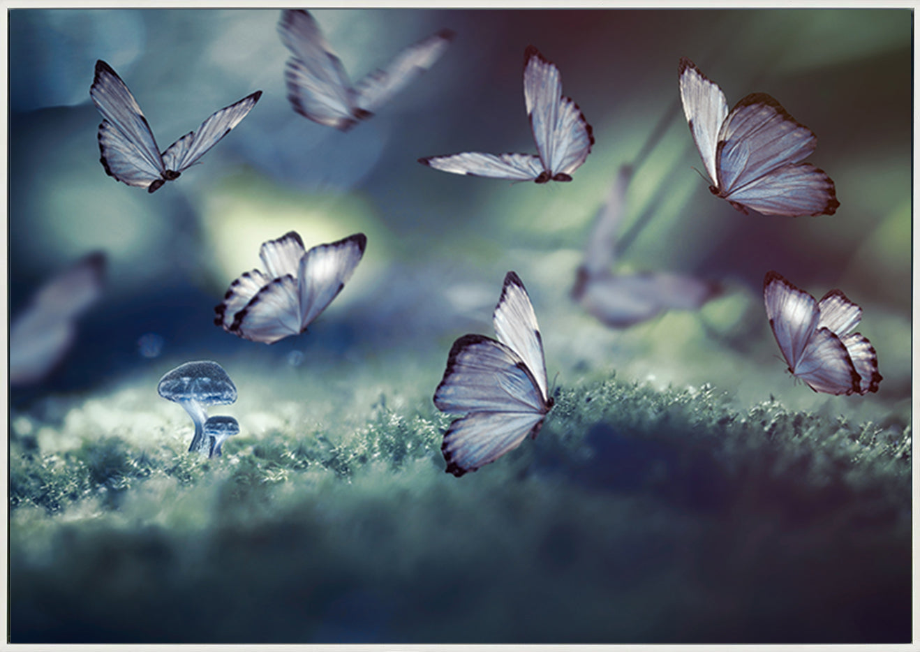 canvas_frame