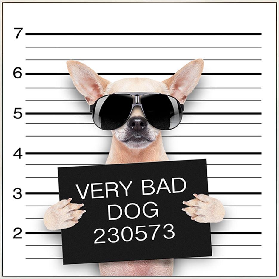 72969979 funny cute pug holding a placard while a mugshot is taken - ArtFramed