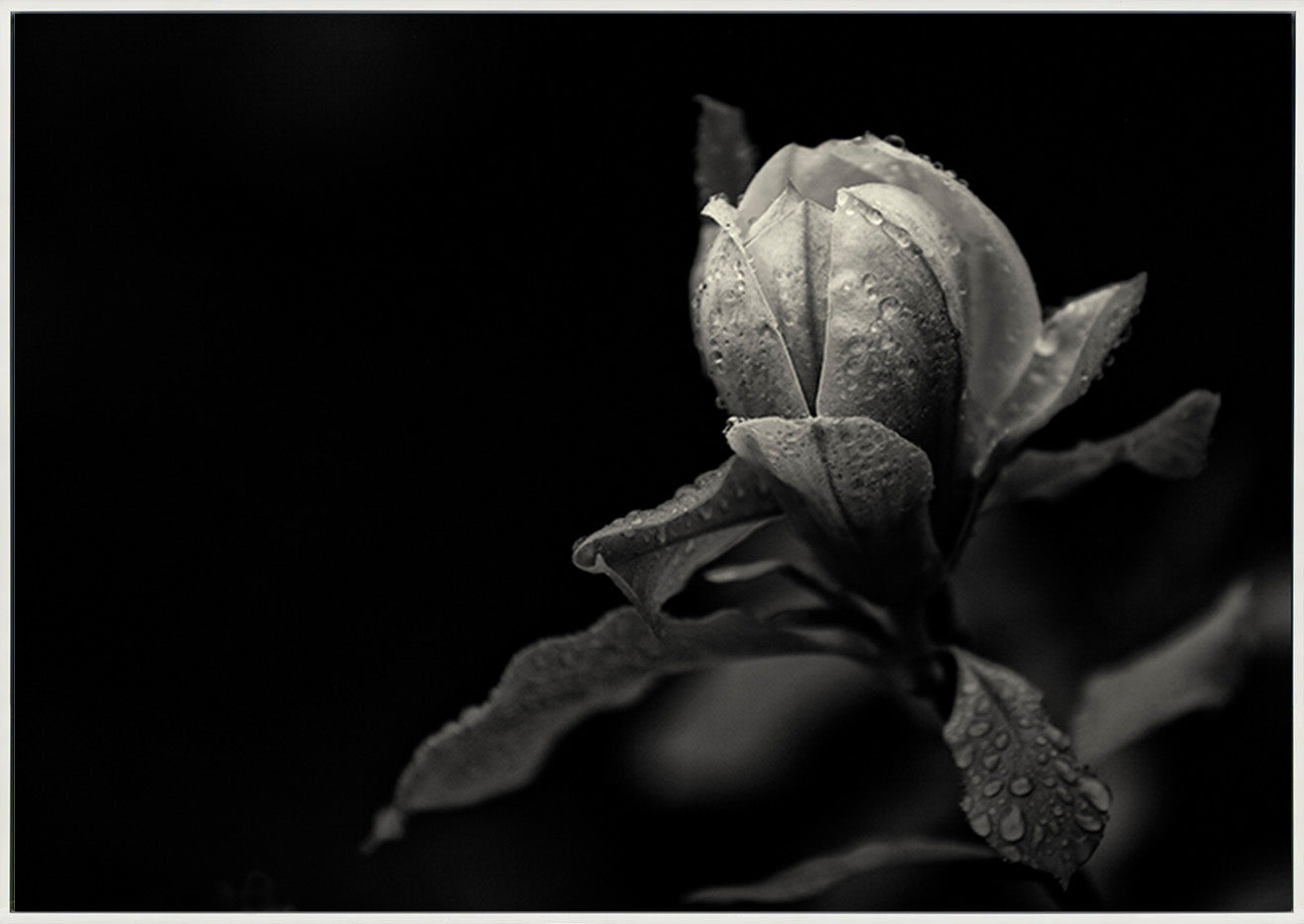 canvas_frame