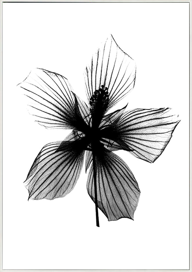 canvas_frame