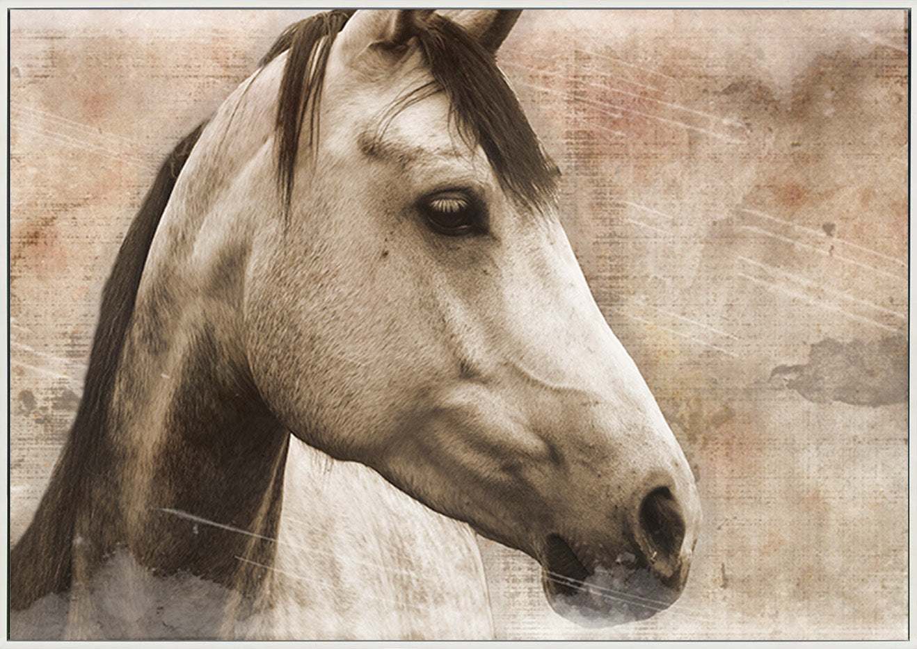 canvas_frame