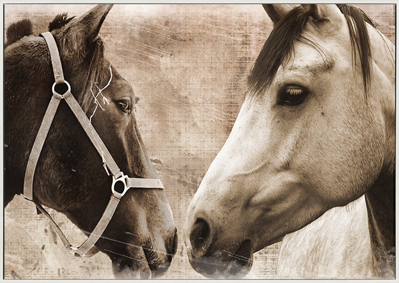 canvas_frame