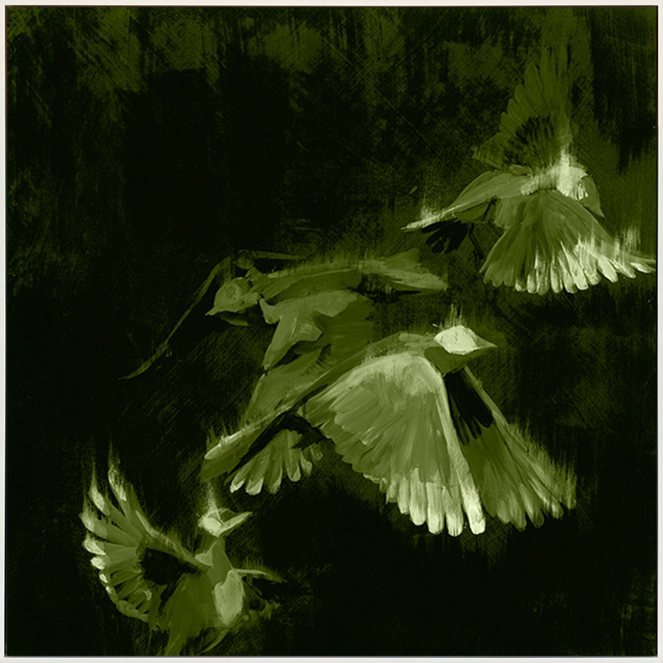 canvas_frame