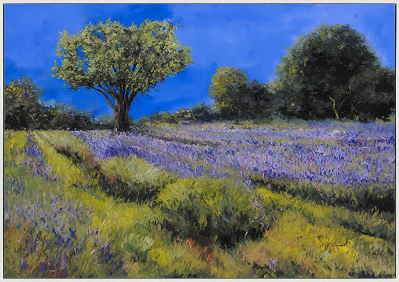 canvas_frame