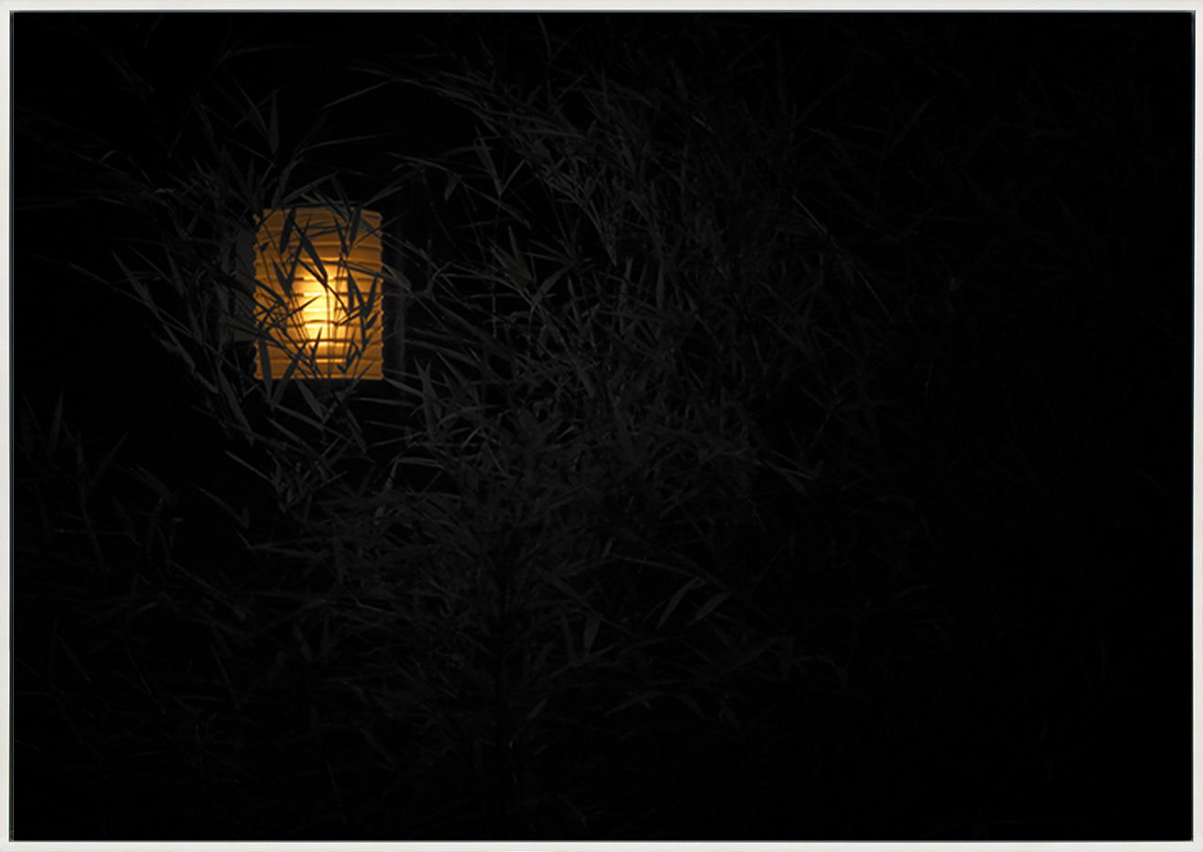 canvas_frame
